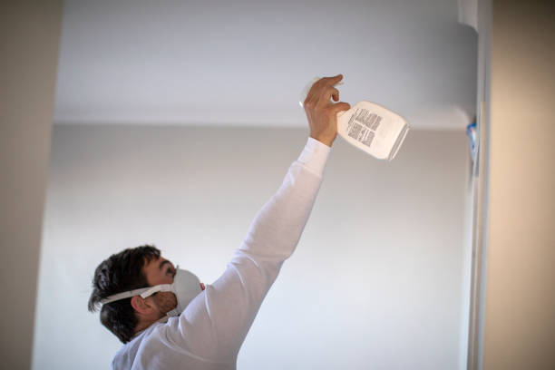 Best Industrial Mold Remediation in Whiting, WI